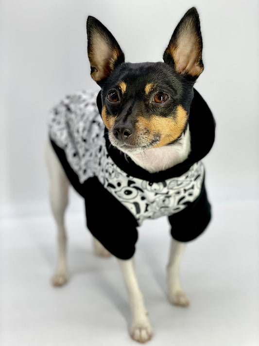 Iconic "Pup Art" Designer Dog Hoodie