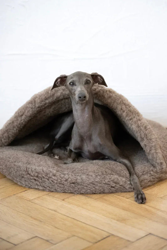 A Natural, Handcrafted Cave for Deep Rest and Comfort - PetLovers